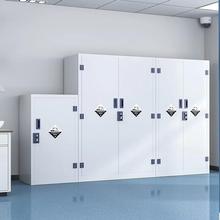 药品柜酸碱试剂柜强酸强碱存储柜实验室器皿柜化学品双锁防腐柜
