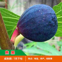 �o����������ش󎧹��ļ����Ե��ԟo������o�������箔��Y����