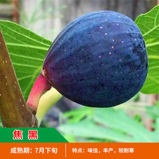 �o����������ش󎧹��ļ����Ե��ԟo������o�������箔��Y����