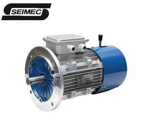 SEIMEC���׿���HFVϵ��0.75KW�и�����L��C�����S�x܇늙C