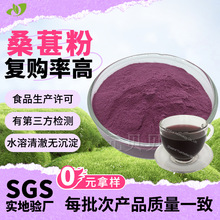 严格品控桑葚粉速溶桑葚果粉食品级冲调饮品原料现货商用桑椹粉