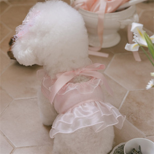 �Č���ᘿ��W���������Y���~߅�����L�B��ȹ����ȹ+�^�