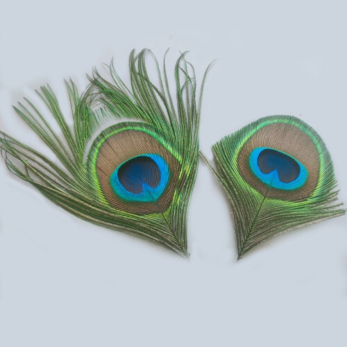 Natural Peacock Feathers DIY Handmade Jewelry Accessories Materials Earrings Headdress Hair Accessories Clothing Accessories Pendants Pendants