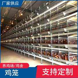 层叠蛋鸡笼 全自动养鸡设备 集蛋上料清粪 鸡厂鸡舍养殖用鸡笼