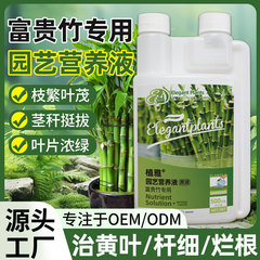 富贵竹专用营养液水培治黄叶促生根转运竹观音竹家用盆栽通用肥料