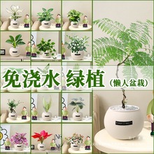 �Gֲ�҃�С��������G�}�׻��ļ��m�ϑ����B�Ļ�����ȩֲ���׃��@