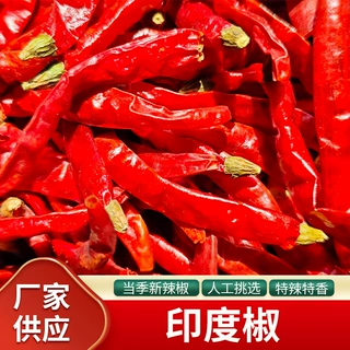 现货供应印度椒魔鬼辣S17超辣印度香辣椒段干辣椒商用