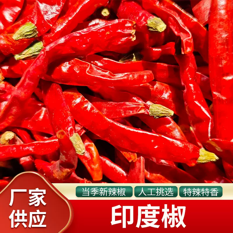 现货供应印度椒魔鬼辣S17超辣印度香辣椒段干辣椒商用
