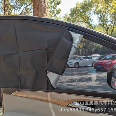 Sun shade Titanium Silver Laser Side