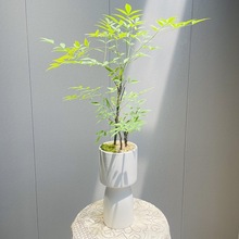 GֲԳGСľֲ҃Ȼr֦RRľƽֲ