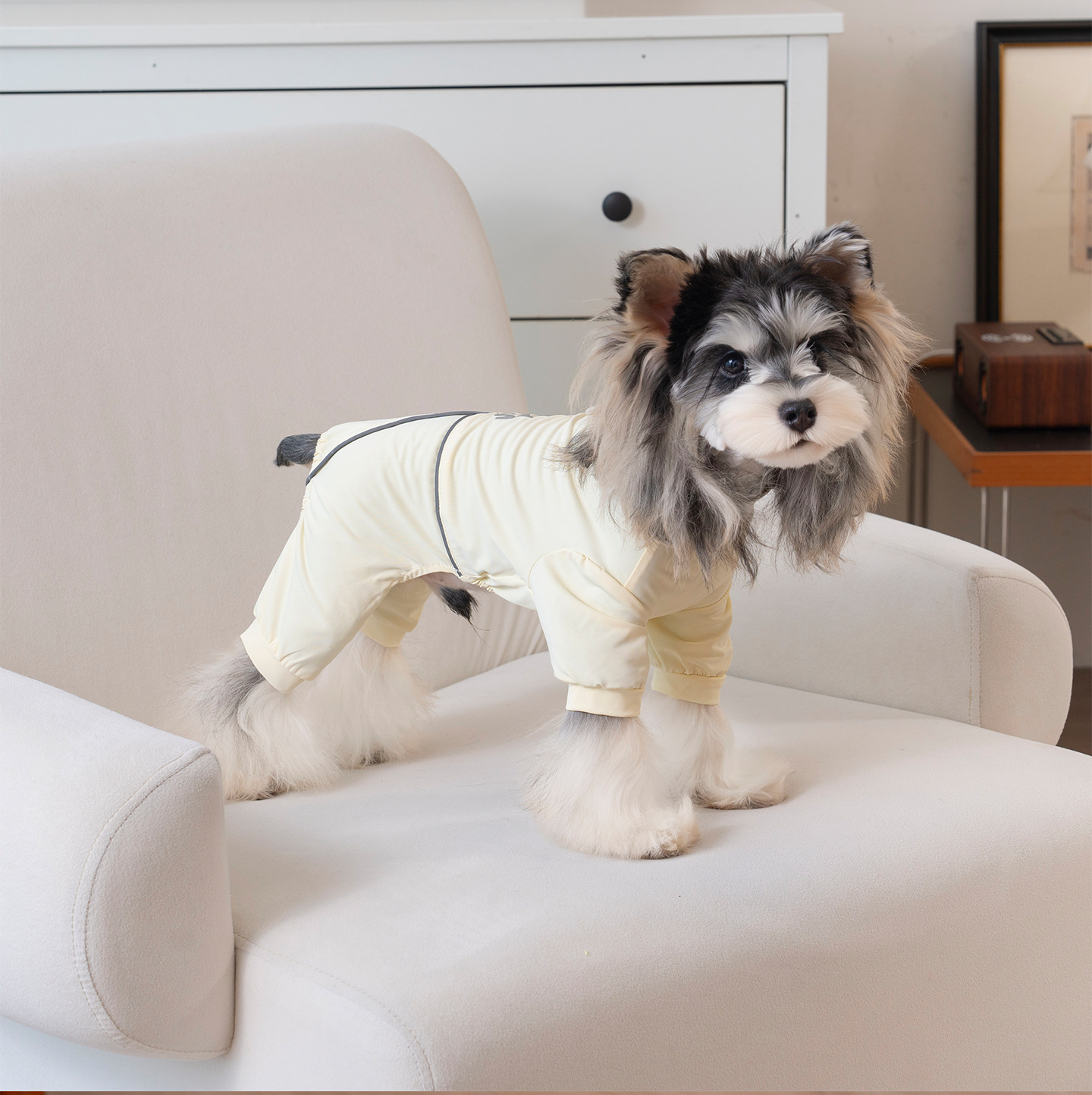 Chaleco refrigerante ligero para perros pequeños transpirable_voghion.com
