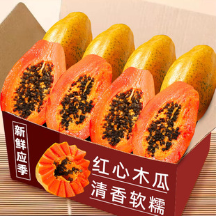�t��ľ�ϏV�����r�����đ�����ˮ�����䮔��ľ�����r����