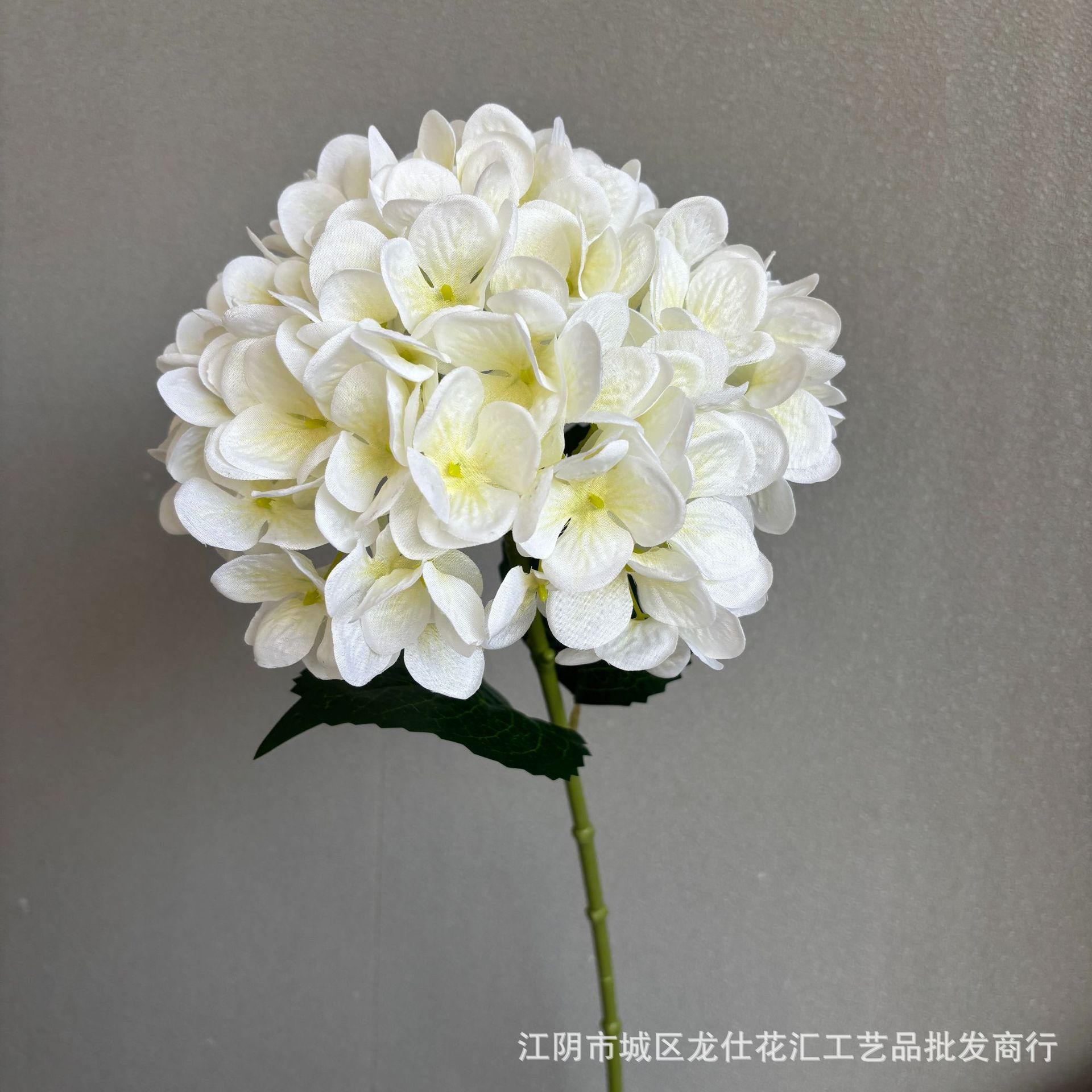 광동 프린트 대형 수국