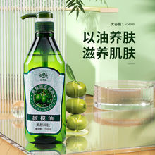 ��Ħ�����Ͻ��ͻ��A�������B�w���ð�Ħ�������w�o����Ħ���͏S��