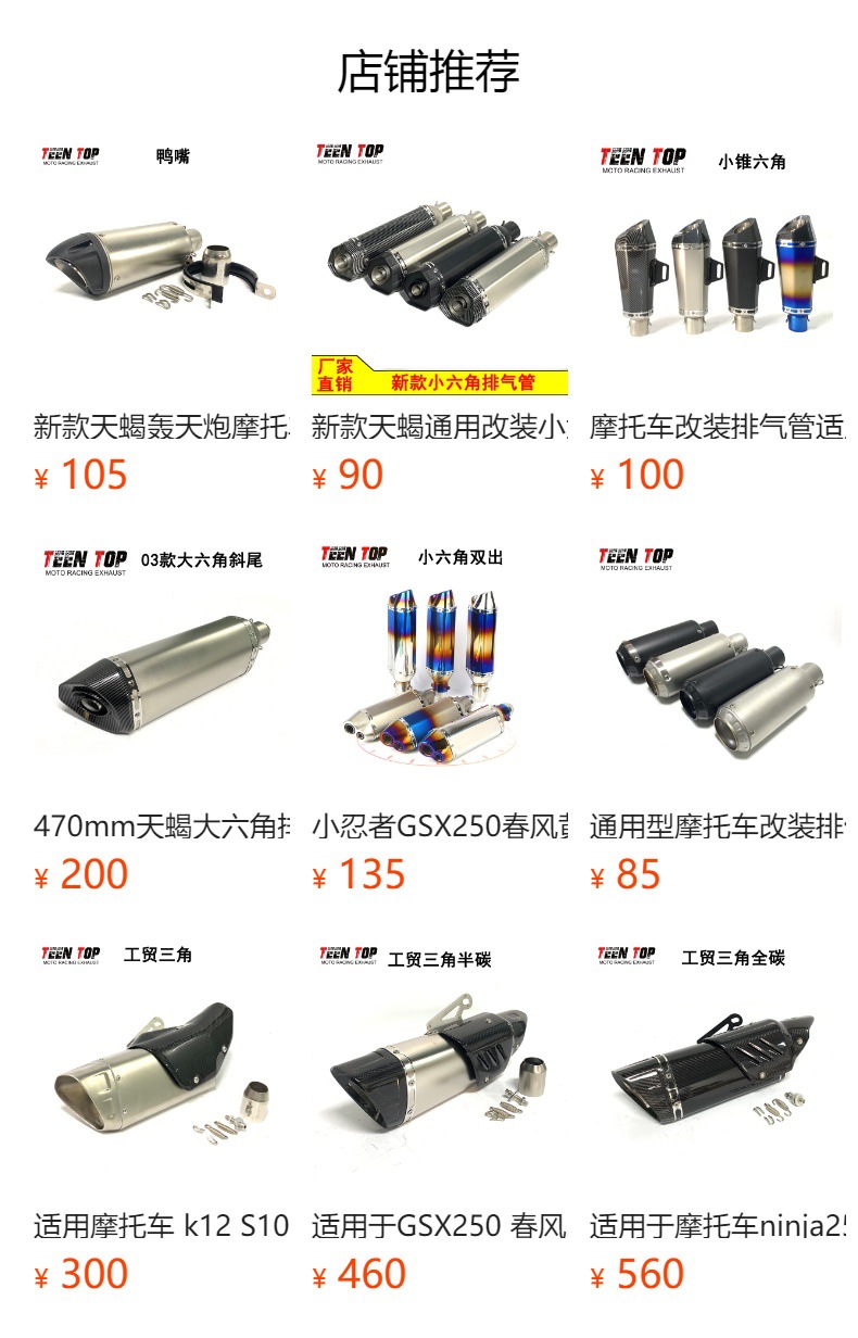 Suitable for Motorcycle Ninja400 800Mt Modified Exhaust Pipe Scorpio Dual Outlet Carbon Fiber Tail Section Exhaust