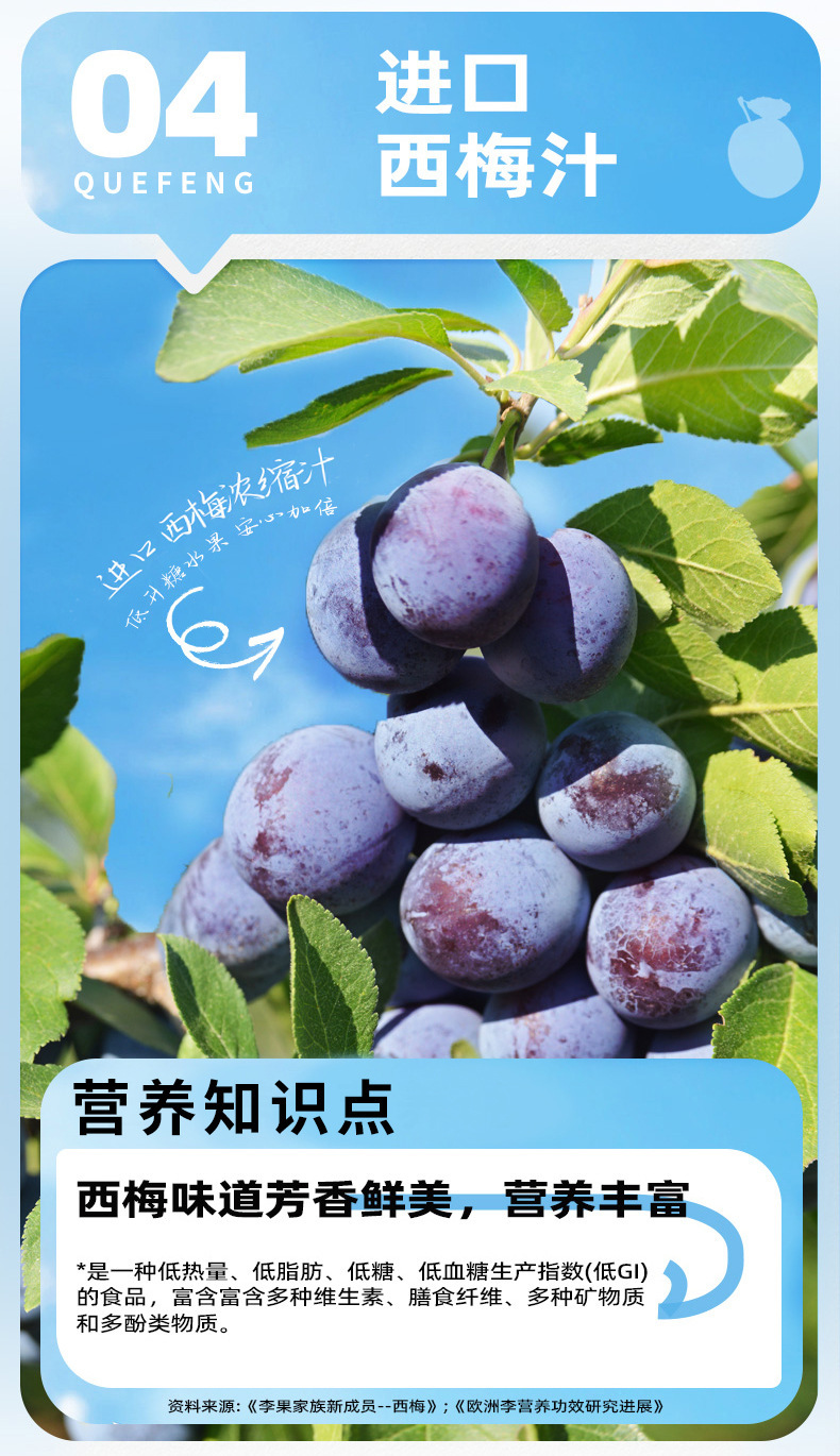 Prebiotic Prune Juice Concentrate Drink with Probiotics Prune Puree Beverage quality and texture