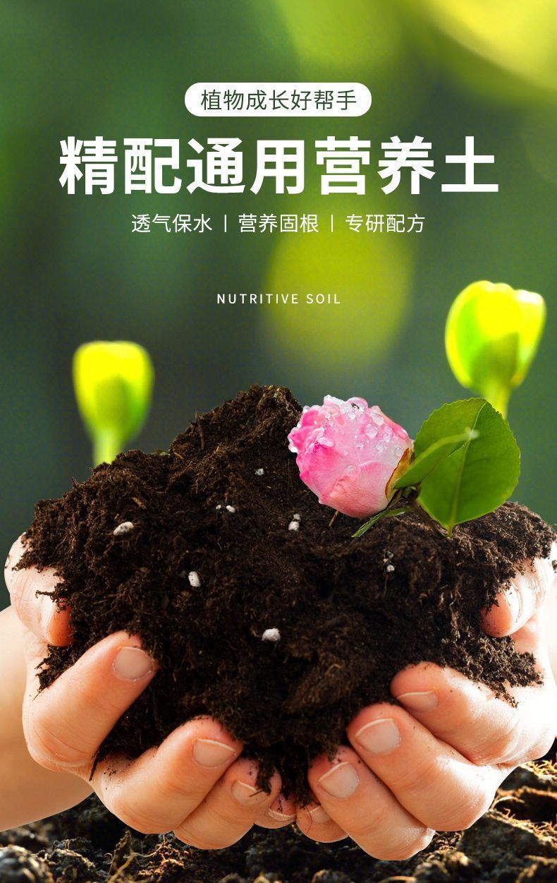 fb1ac549-8359-4266-be6f-39411f619a8c.jpe