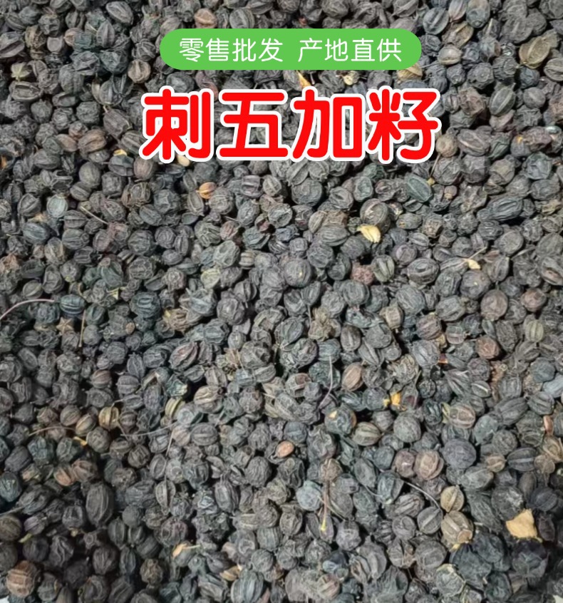 Dried Acanthopanax Senticosus Seeds Ci Wu Jia Zi Herbal Tea Ingredient 500g overview