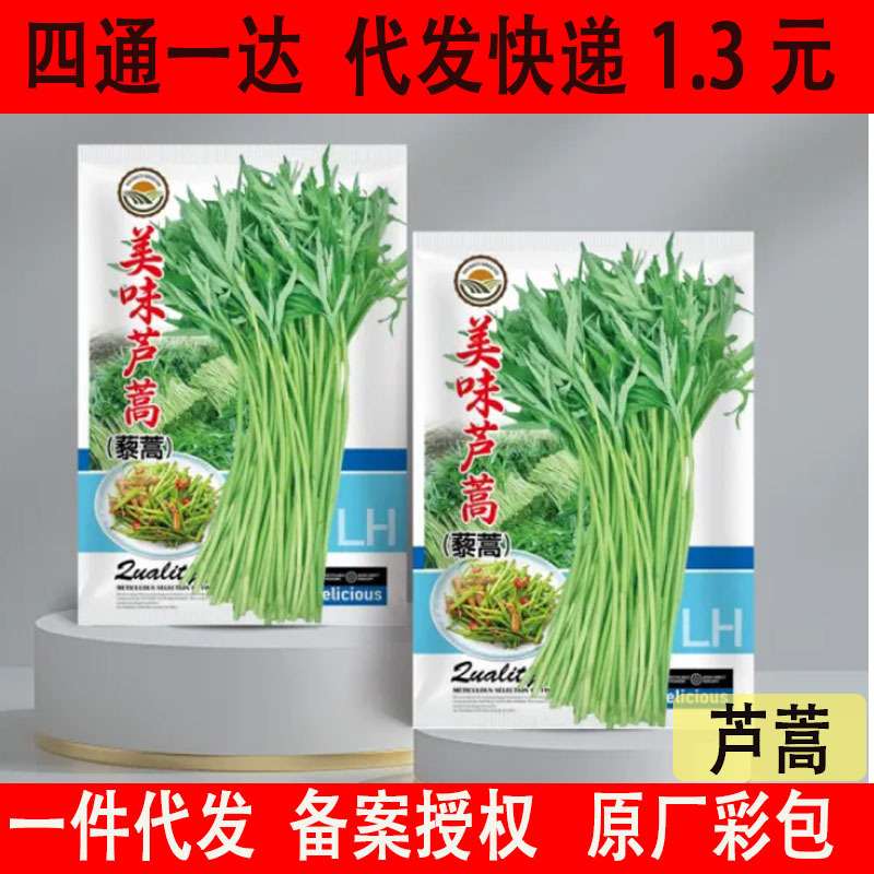 芦蒿黎蒿种子水蒿柳蒿泥蒿水艾蒌蒿菊蒿特色野菜蔬菜种籽批发代