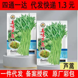 芦蒿黎蒿种子水蒿柳蒿泥蒿水艾蒌蒿菊蒿特色野菜蔬菜种籽批发代