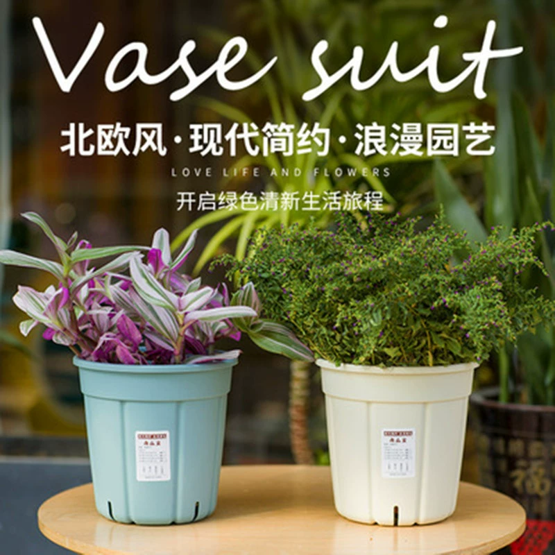 Фабрика прямых продаж тыквенный бассейн скандинавской простой гортензии