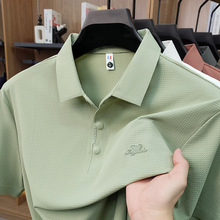 2026�ļ��¿��˿�����޺���ʿpolo������͸�����ɫ������t��
