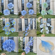 Ϫ 2025Ʒ {ɫϵ Ʒϵ cY滨l