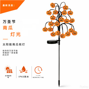 �羳�¿��f�}��̫����ϹϘ�֦��ƺ�����⹝���b���ˮ���@��