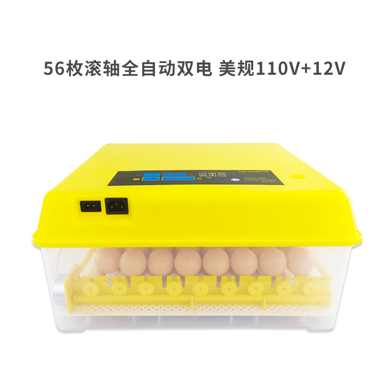 56 rodillos Full-automatic dual-Electric American Standard 110V + 12V