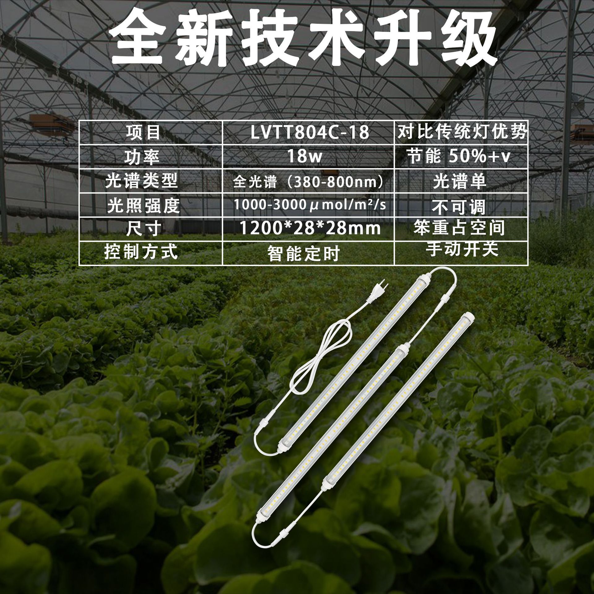 t8�ƹ�ֲ������ڵ���ȫ����ֲ���������߲˴���ֲ�ﲹ���