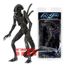 NECA alienδFѪʿ ι AVP7Ʉkģ