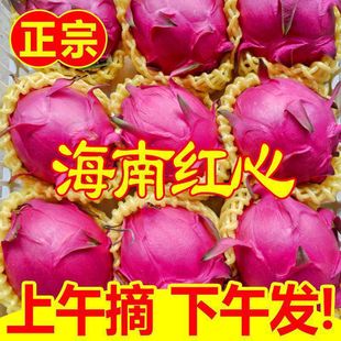 �t�Ļ��������𮔼� �t�����rֱ�������Ꭷˮ�����l����