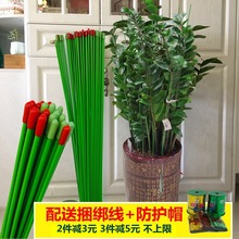 �҃Ȼ����ӽ��X��G�}�߲˹Ϲ�����֧�ܻ���ֲ��֧�ΗU�m���̶���