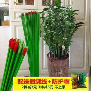 �҃Ȼ����ӽ��X��G�}�߲˹Ϲ�����֧�ܻ���ֲ��֧�ΗU�m���̶���