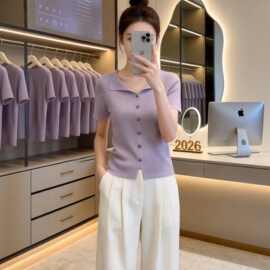 仅用于产品展示勿拍-紫色POLO针织短袖T恤女夏季穿搭洋气百搭遮肉