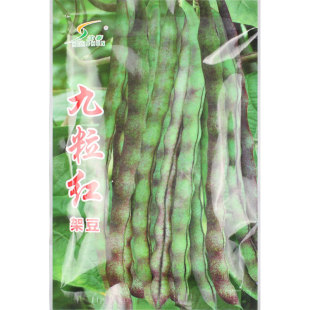 �����tܿ���N�ӷN���ݶ��Ǽܶ��ⶹ�ļ����ļ�ժ����ܿ���N�ײ���