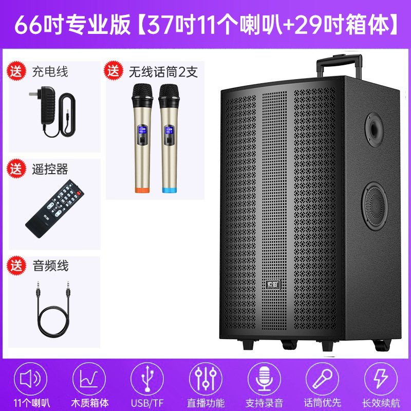 索爱广场舞音响大音量户外K歌演出超大移动拉杆蓝牙音箱2025新款|undefined