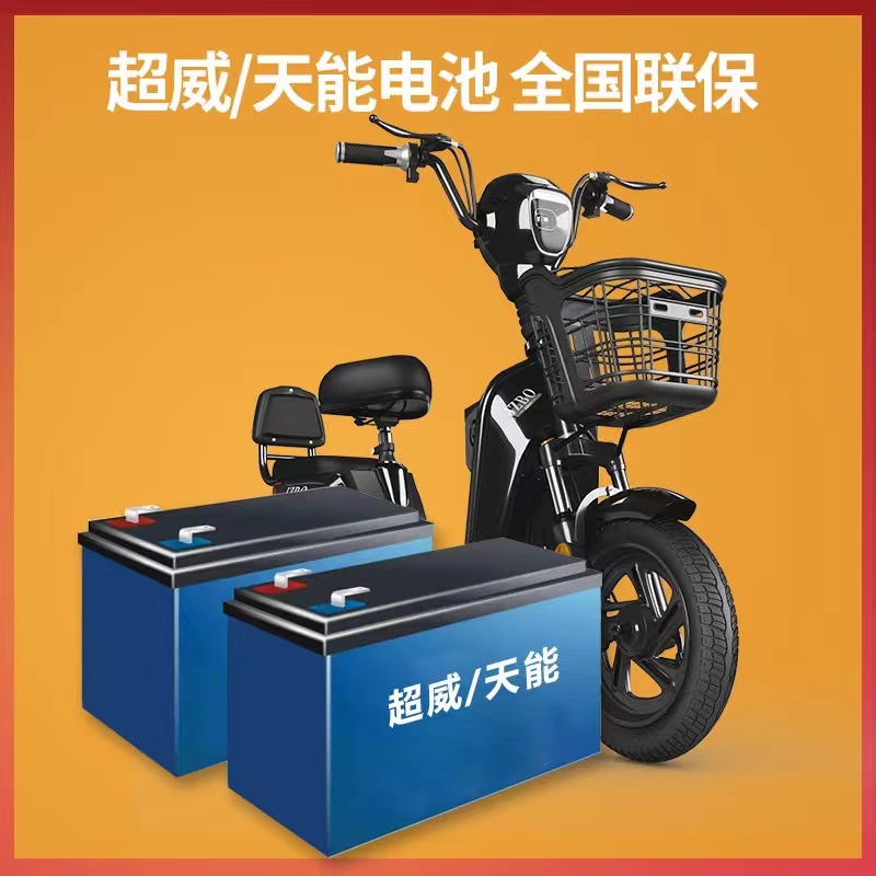 新型電動自転車 Yadi Emma Xinri Tong バッテリー搭載 大人用ペダルスケートボード SK8 オートバイ 電動自転車|undefined