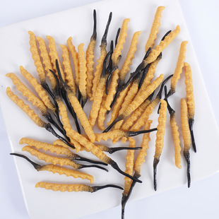 1:1���涬�x�Ĳݼٸ�؛�x����ș��[��PVC����ʳ��Ұ��������x��