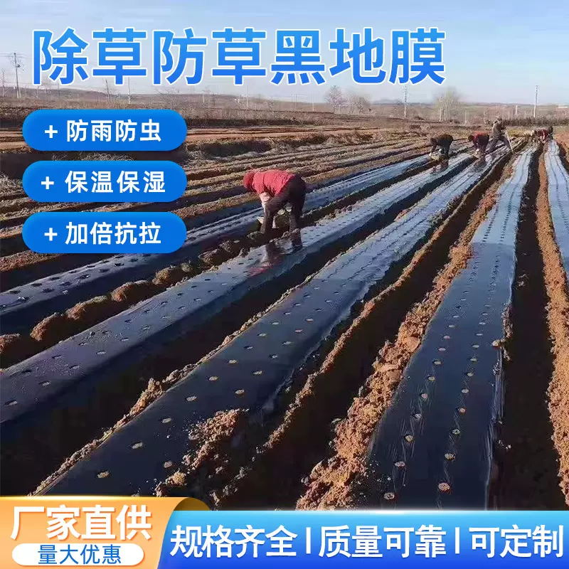 农用种植加厚抗老化黑地膜塑料薄膜除草保温保湿防草大棚果树种地