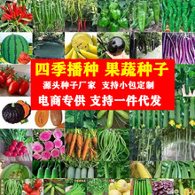 批发四季蔬菜种子大全室内外阳台庭院播种香菜生菜草莓辣椒菜种子