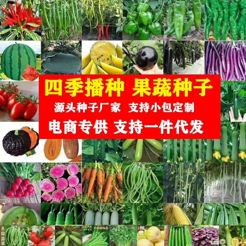 Оптовая продажа семена овощей Four Seasons Daquan Внутренний и внешний балкон двор посев петрушки