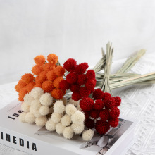 云南草莓果千日红干花粘接花批发 永生花材 DIY手工 网红小花束