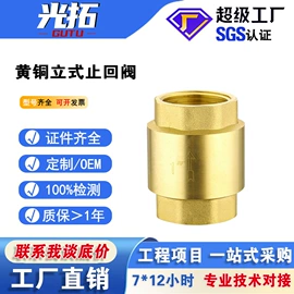 闸阀;止回阀;其他阀门