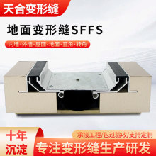 �ǵ��濹����׃�οpSFFS���B������s�p�����X�Ͻ��w������p����