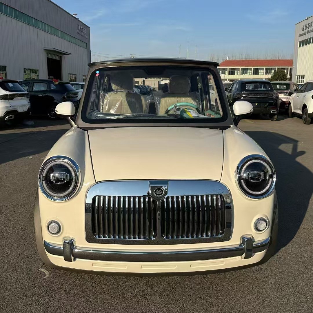 电动老年代步四轮车 新能源四轮车 低速代步车家用轻便锂电电瓶车