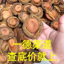 �S�����l��ζ��؛3�^4�^5�^6�^7�^8�^10�^12-13�^�Ϸ��S�U�~����
