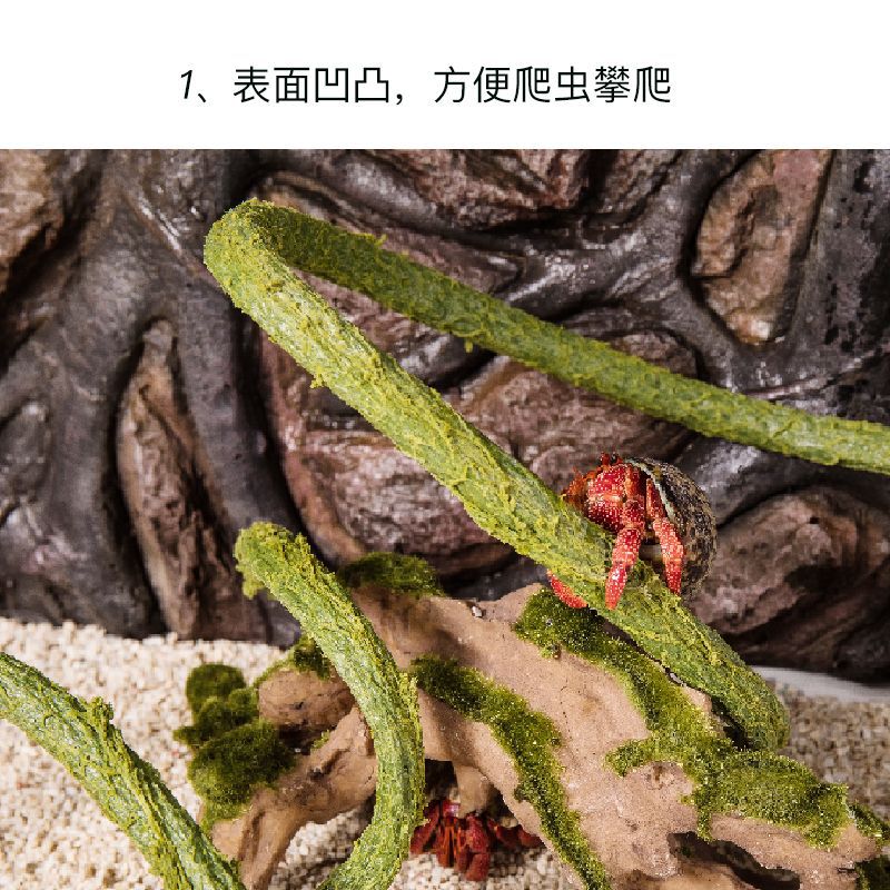 爬藤寄居蟹攀爬藤蔓藤條攀爬架造景爬寵蜥蜴彎曲裝飾樹藤代發