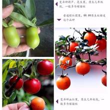 ��������������辰�@�������͵Ľ�����С��ɒ��ĸ��