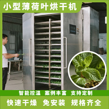 ȫ�Ԅӱ��ɺ�əC С������Ұ���ɺ���� �����~�y���ݺ�əC�O��